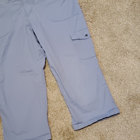 Capris - Picture 2 of 6
